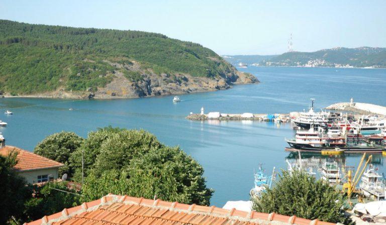 2021 06 06 14 16 58 768x448