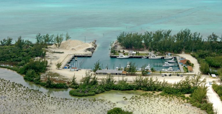 Davis Harbour Marina at Jack's Bay Club