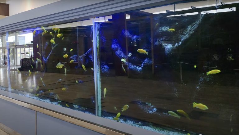 Fuerteventura Airport (FUE)