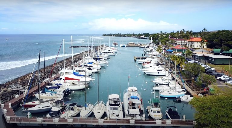 Lahaina Harbor Marina