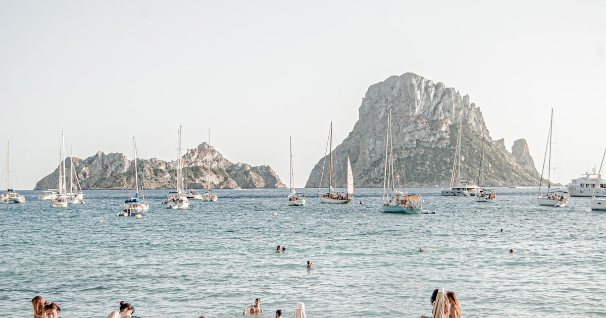 A row of white motorboats and sailing yachts moored at the main charter dock in Ibiza Town harbour on a clear summer morning with the old town walls visible in the background