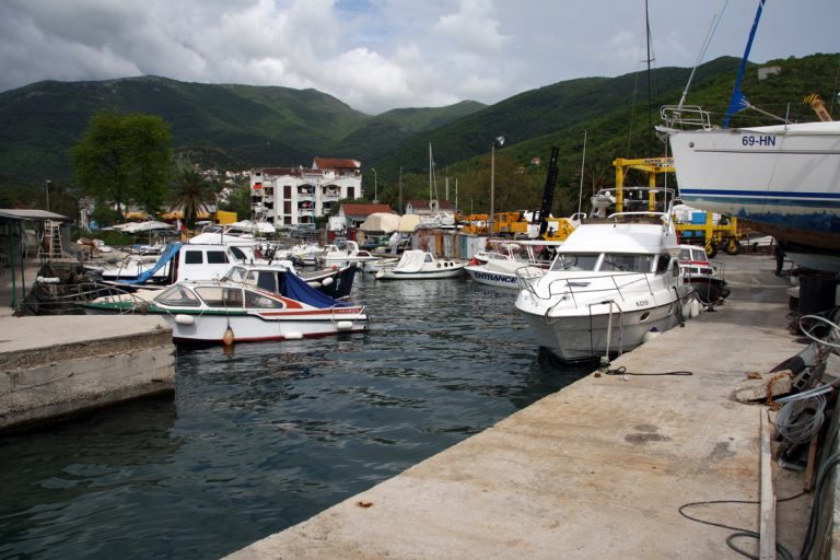 Marina Zelenika Marina Zelenika