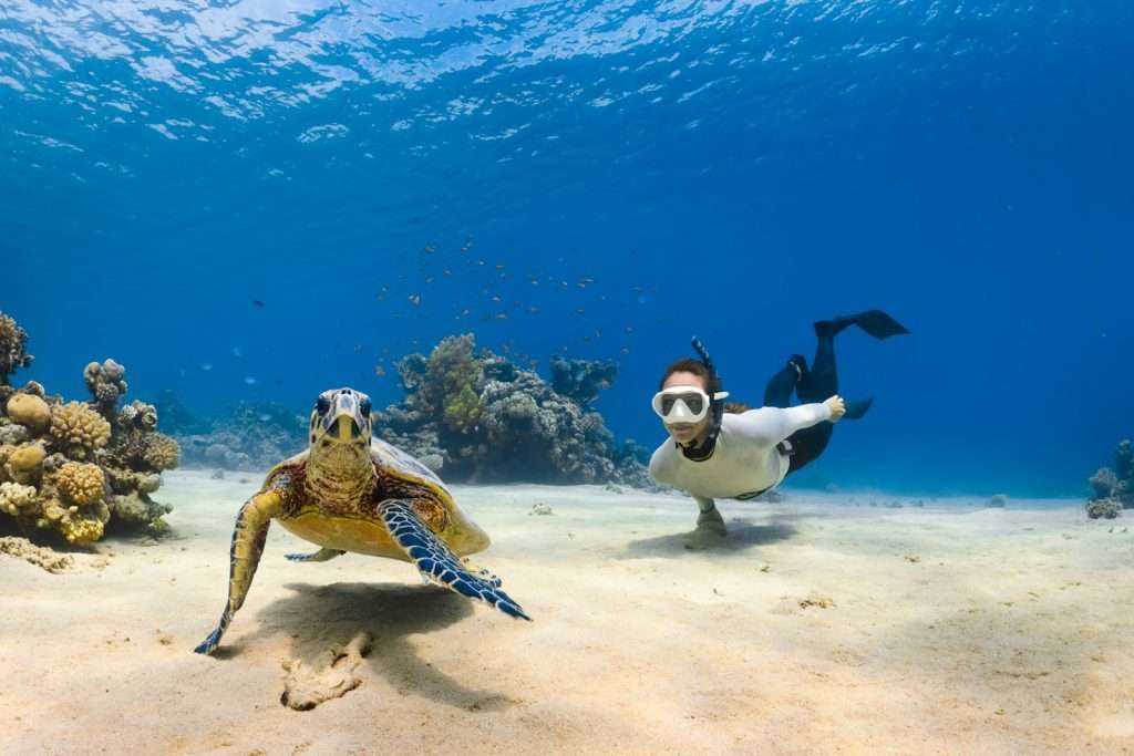 Fowl Cay Underwater Park