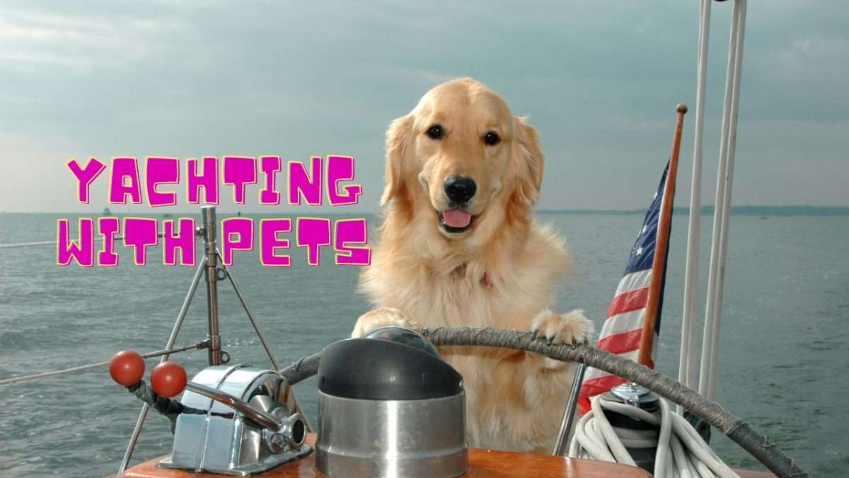 A Pet-Friendly Yachting Guide