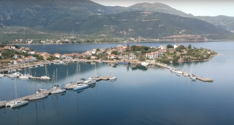 Trizonia Marina Trizonia Marina