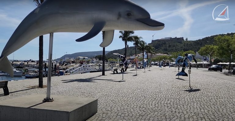 Porto de Pesca (Fishing Port), Setúbal Porto de Pesca (Fishing Port), Setúbal
