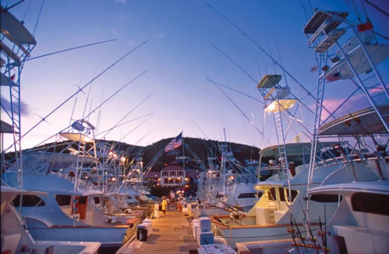 American Yacht Harbor US Virgin Islands American Yacht Harbor US Virgin Islands